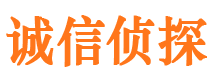 东河市调查公司